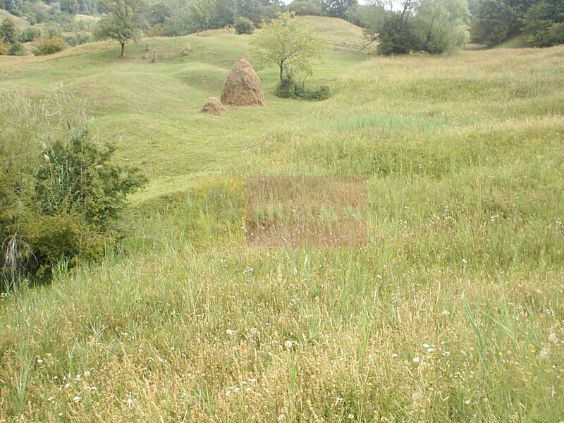 Teren extravilan de vanzare in Telega